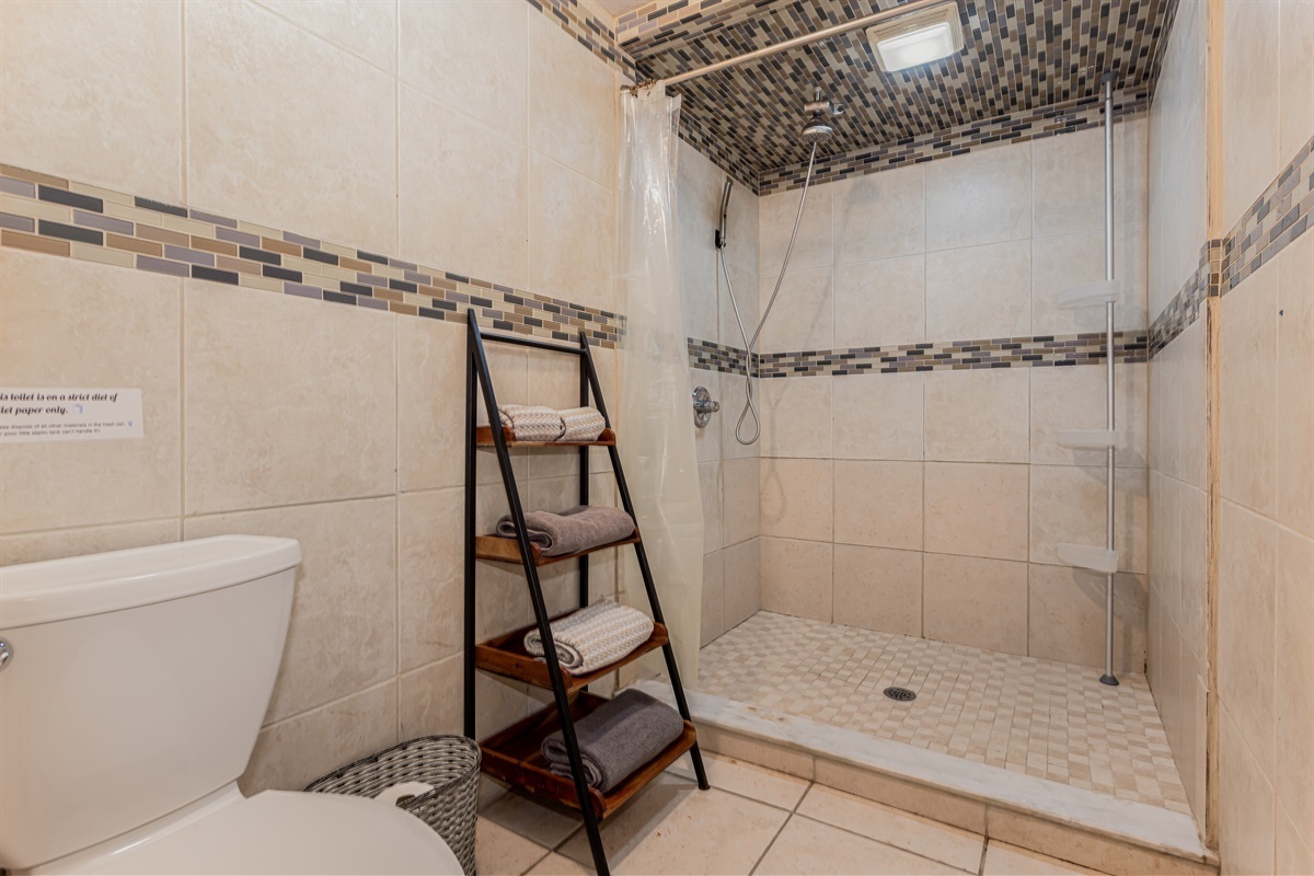 Master bathroom with oversized rain down shower.