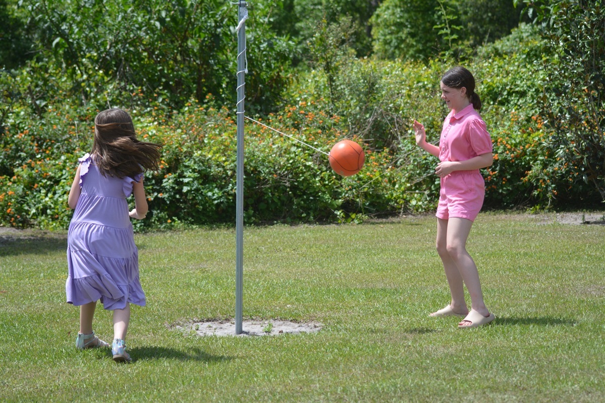 Play tetherball against friends or family