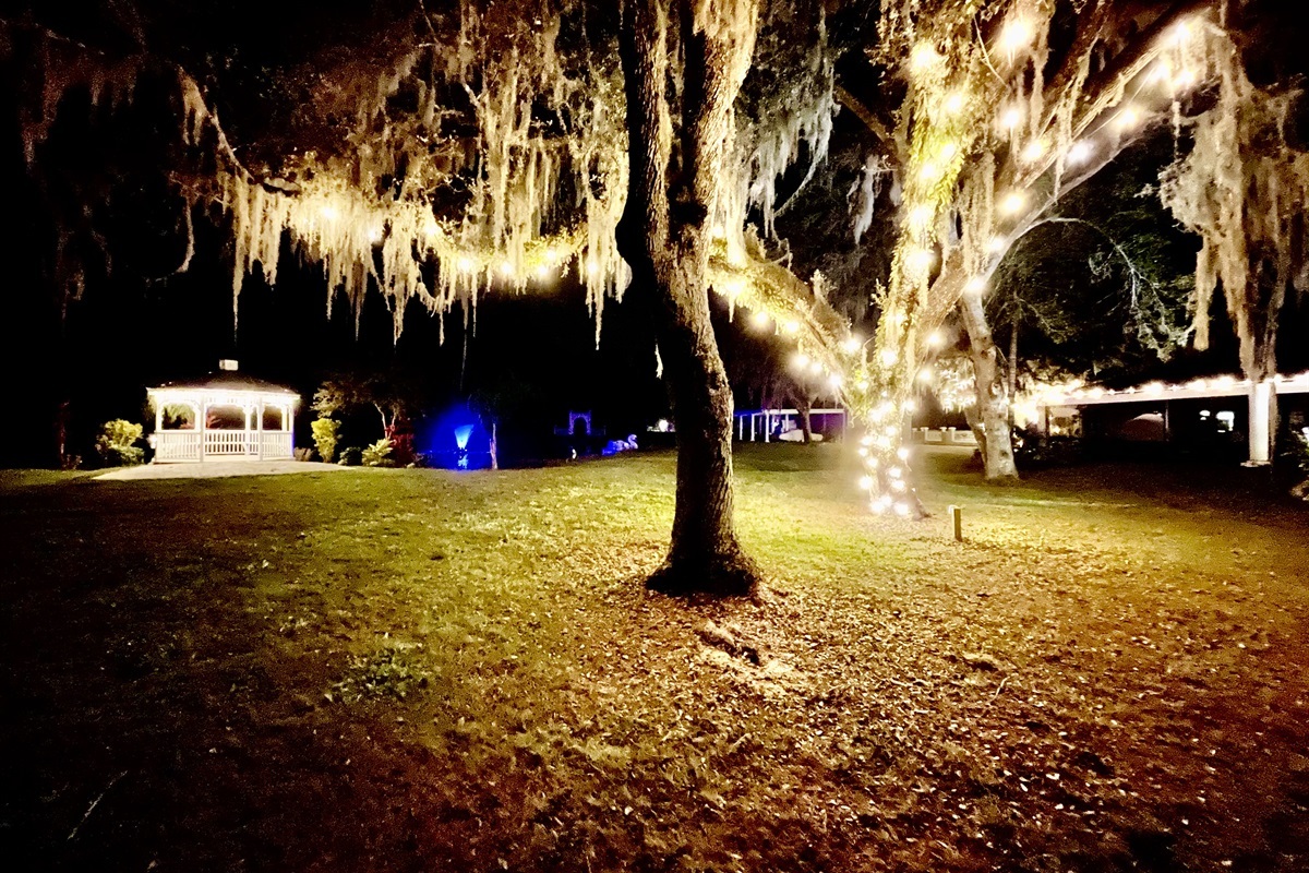 Magical night view under the oaks&mdash;perfect for evening strolls