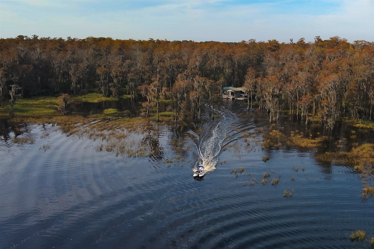 Serene aerial view of the property surrounded by nature