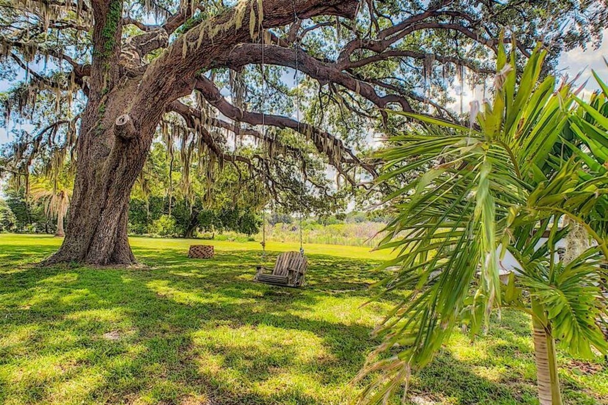 Rich in history and character, the 100-year-old oak tree is a true highlight of the property.