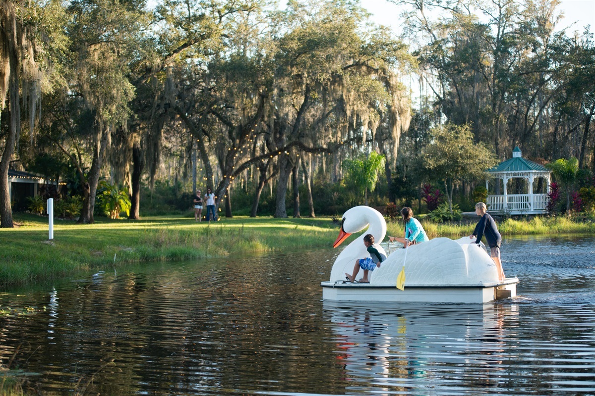 Family-friendly fun with paddle boats on the water